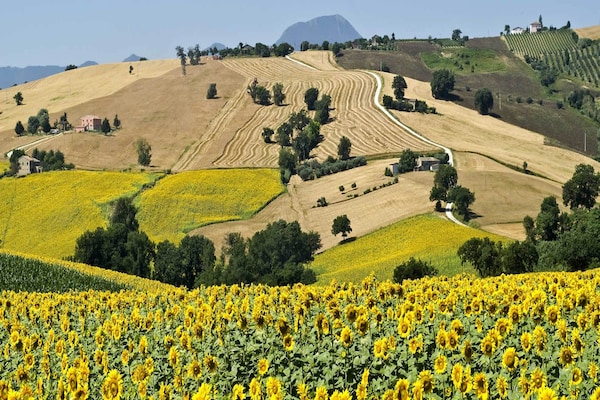 Romantisch landhuis Fuoco met panoramisch uitzicht in de heuvels van Marche - thumbnail 5