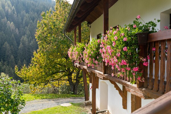 Zois Hütte: Vrijstaand vakantiehuis met sauna in de Karinthische bergen - thumbnail 6