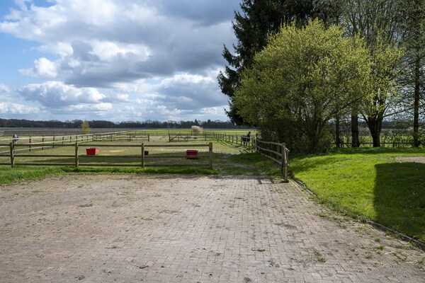 Luxe vakantiehuis De Kibbelhoeve: 8 pers., golf & natuur in Drenthe - thumbnail 6