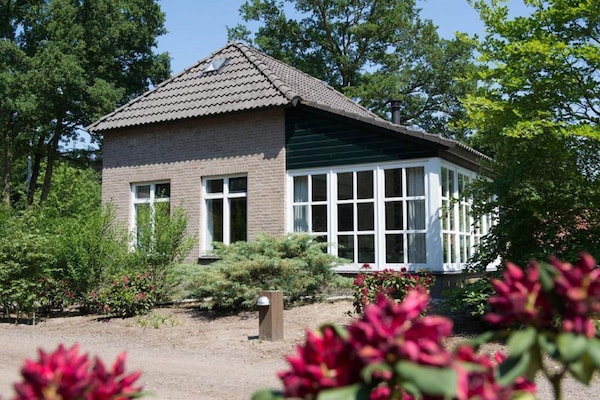 Luxe 6-persoonsvilla op rustig vakantiepark in Uden - thumbnail 5