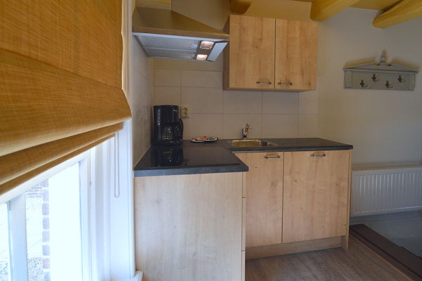 Bakhuus: sfeervol vakantiehuis op boerderij in bosrijk Geesteren - thumbnail 4