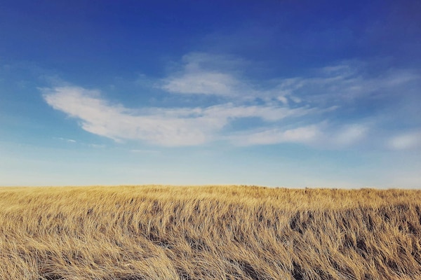 Vrijstaand vakantiehuis nabij strand en natuurgebied in Frøstrup - thumbnail 2