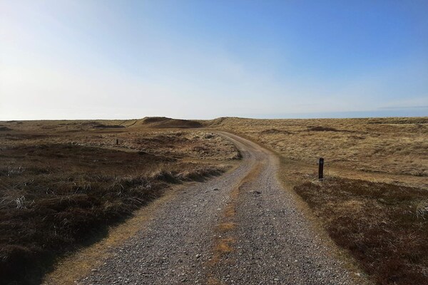 Vrijstaand vakantiehuis nabij strand en natuurgebied in Frøstrup - thumbnail 5