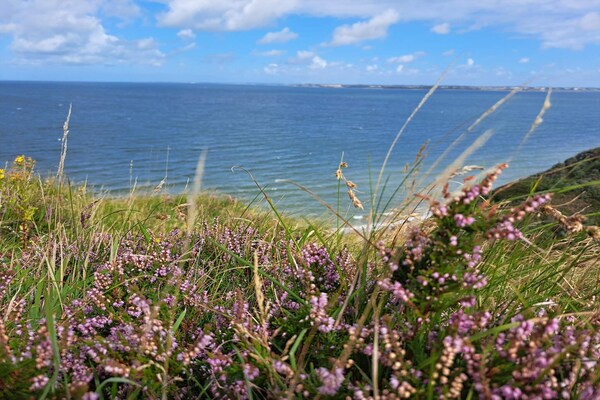 Traditioneel vakantiehuis op 300m van de kust in Struer, Denemarken - thumbnail 5