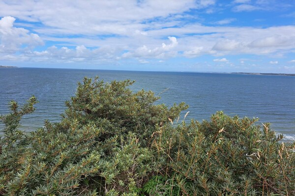 Traditioneel vakantiehuis op 300m van de kust in Struer, Denemarken - thumbnail 6