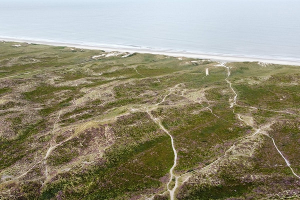 6-persoons vakantiehuis in Hemmet direct aan zee · 74 m² - thumbnail 4