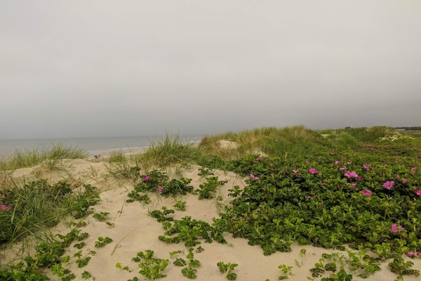 Licht houten vakantiehuis met whirlpool en tuinspel nabij Blåvand strand - thumbnail 3