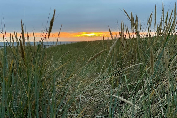Licht houten vakantiehuis met whirlpool en tuinspel nabij Blåvand strand - thumbnail 4