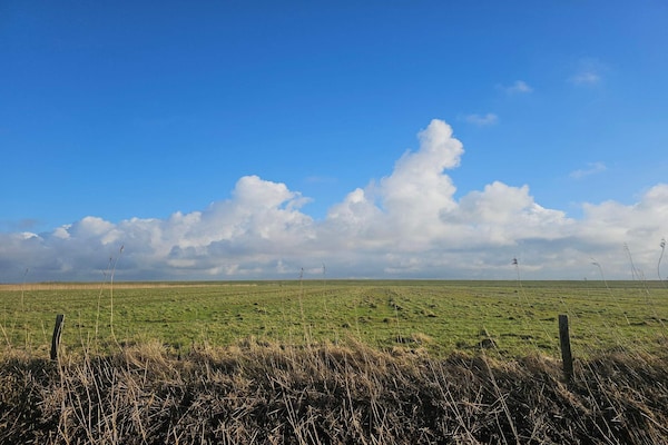 Landelijk appartement bij Højer met WLAN, 12 km van zee - thumbnail 5