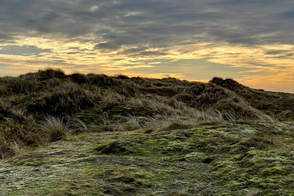 Knus vakantiehuis met sauna op groot natuurterrein, 1 km van zee op Fanø - thumbnail 6