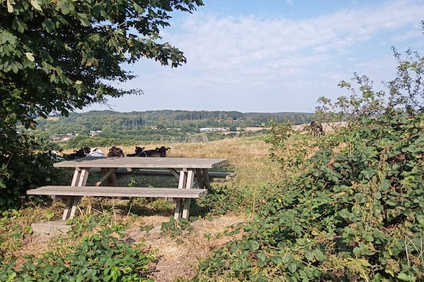 Aan zee: Rustgevend vakantiehuis in Haderslev met panoramisch uitzicht - thumbnail 2