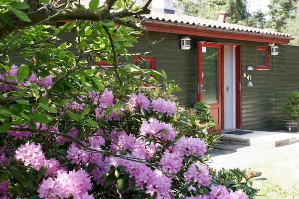 Aan zee: Ruim vakantiehuis in Skanderborg voor 12 personen - thumbnail 6