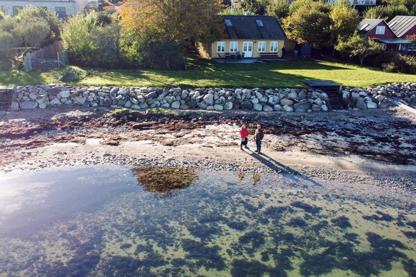 Allergievriendelijk vakantiehuis direct aan de Aabenraa Fjord met privéstrand - thumbnail 5
