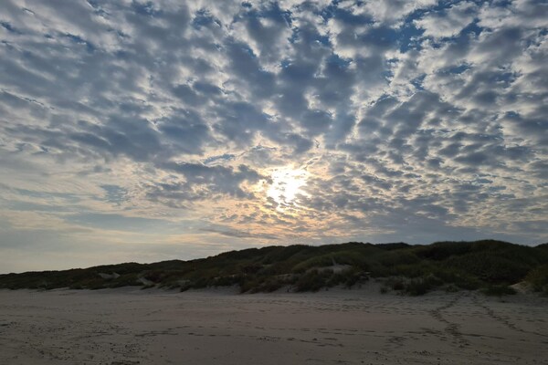 Licht vakantiehuis in Blokhus grenzend aan natuurgebied - thumbnail 6