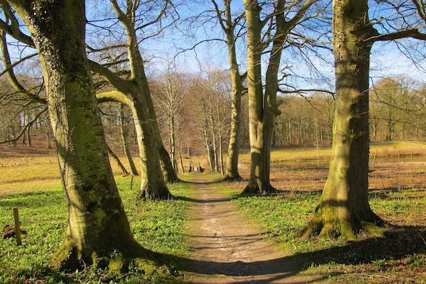Vrijstaand vakantiehuis op 2500m² natuurdomein, 300m van de zee in Højslev - thumbnail 6