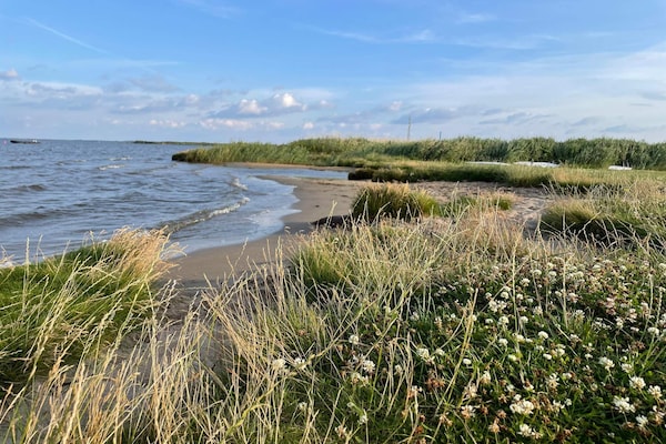 Licht vakantiehuis met panoramisch fjordzicht, 280 meter van zee bij Ulfborg - thumbnail 6