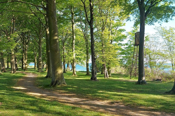 Aan zee: Ruim vakantiehuis voor 8 personen in Nysted - thumbnail 3