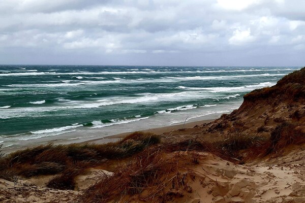 Vrijstaand vakantiehuis nabij Skagen met uitzicht op de Råbjerg Mile - thumbnail 6