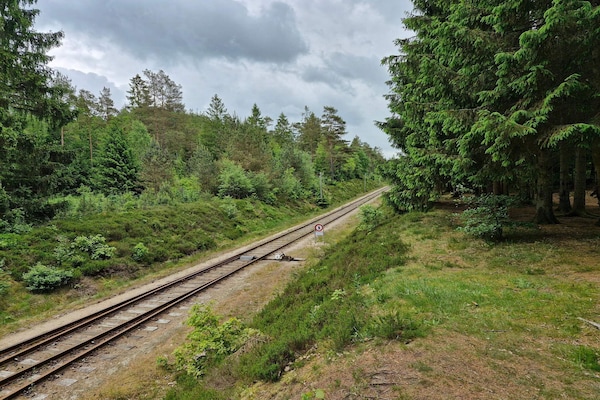 Panoramavakantiehuis aan de Limfjord bij Skals voor 8 personen - thumbnail 2