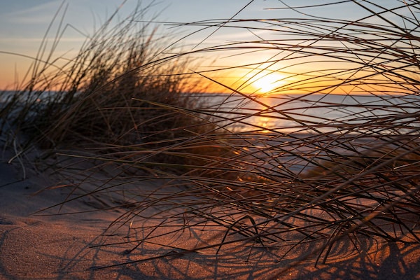 Architectonisch vakantiehuis nabij strand en duinen van Blokhus - thumbnail 4