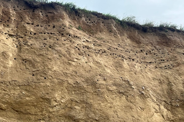 Aan zee: ruim vakantiehuis in Bagenkop voor 20 personen - thumbnail 6