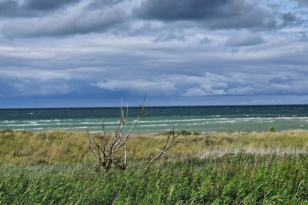 Licht vakantiehuis met sauna & whirlpool op 80 meter van het strand - thumbnail 2