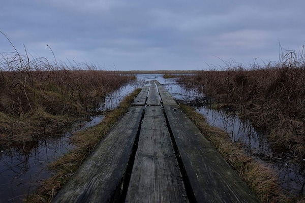 Strandvakantiehuis met whirlpool en zeezicht op 50 meter van het water in Hals - thumbnail 6