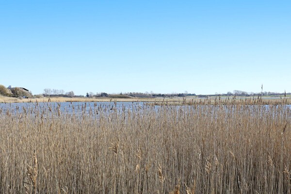 4-persoons vakantiehuis aan zee in Martofte met panoramisch uitzicht - thumbnail 2