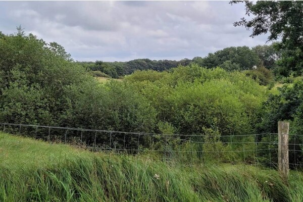 Vrijstaand vakantiehuis in Hovborg met terras en uitzicht op het groen - thumbnail 2