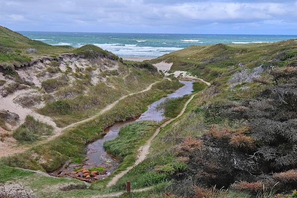 Vrijstaand vakantiehuis met zwembad, sauna en whirlpool bij de Noordzee - thumbnail 5