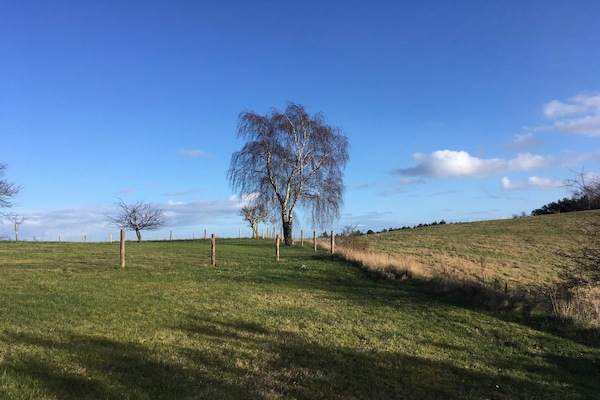 Licht vakantiehuis nabij kust Helgenæs, 2 km van zee - thumbnail 6