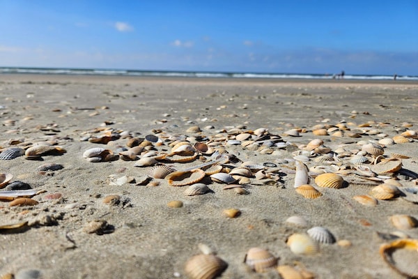 Vrijstaand vakantiehuis op Rømø met 3 slaapkamers, omgeven door bomen op 3 km van zee - thumbnail 6