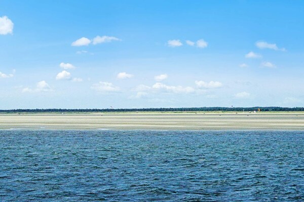 Toegankelijk vakantiehuis met sauna en whirlpool op 800m van zee op Rømø - thumbnail 3