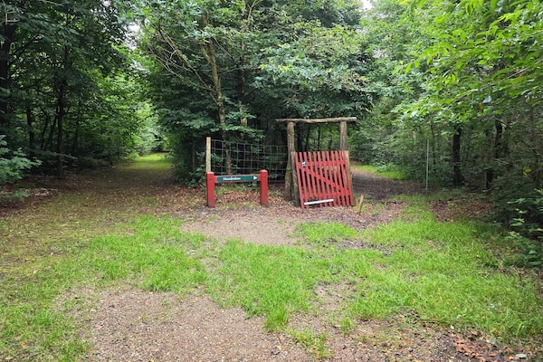 Vrijstaand Deens vakantiehuis op natuurperceel bij Toftlund, 6 personen - thumbnail 5