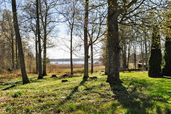 Vrijstaand vakantiehuis op bosperceel met privé zwemplek aan het Skagern meer - thumbnail 5