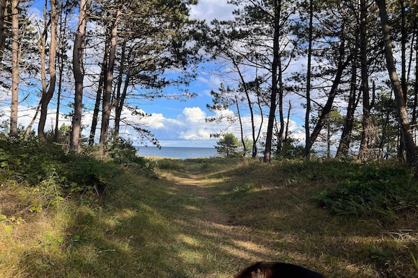 Sfeervol vakantiehuis op 350m van het strand in Ebeltoft - thumbnail 3