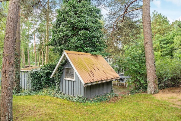 Gezellig vakantiehuis voor 5 personen in Ans By - thumbnail 4