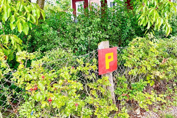 Sfeervol vakantiehuis in Borgholm op het eiland Öland - thumbnail 5