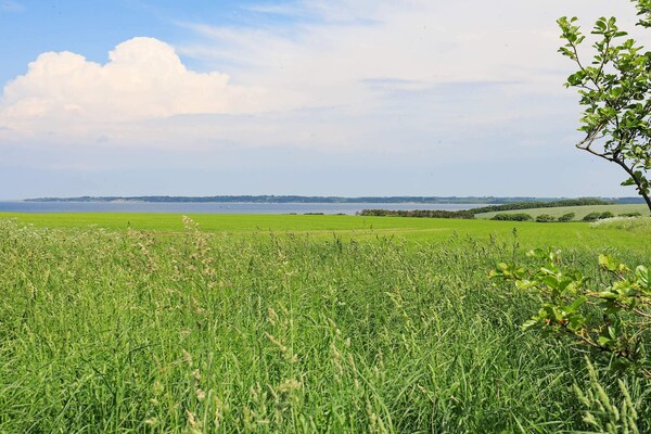 Groot vakantiehuis met panoramisch uitzicht op de Limfjord en privézwembad - thumbnail 3