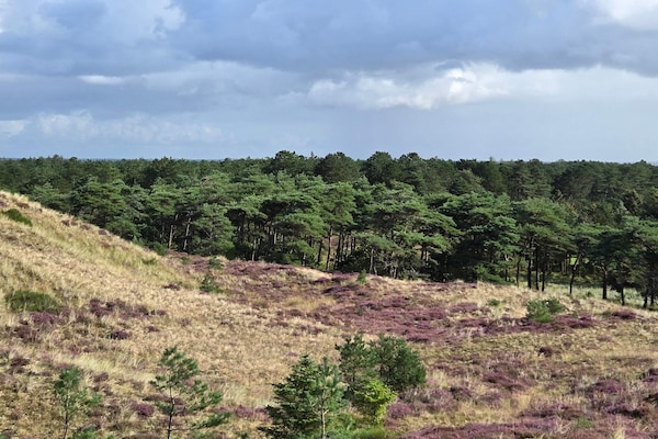 Groots vakantiehuis voor 18 personen met zwembad en activiteitenruimte in Blåvand - thumbnail 5