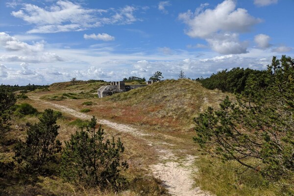 Groots vakantiehuis voor 18 personen met zwembad en activiteitenruimte in Blåvand - thumbnail 6