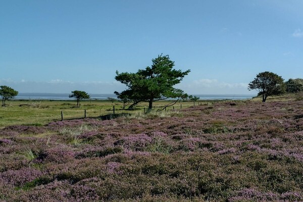 Knus vrijstaand vakantiehuis op Fanø, vlakbij zee en natuur - thumbnail 4