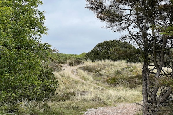 Knus vrijstaand vakantiehuis op Fanø, vlakbij zee en natuur - thumbnail 5