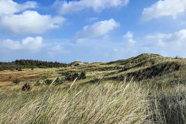 Knus duinhuis op 100 meter van het strand in Ålbæk - thumbnail 4