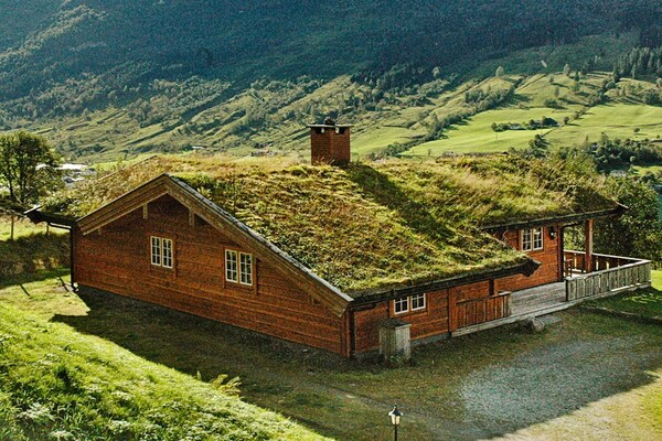 Vakantiehuis met panoramisch uitzicht op de Nordfjord in Olden - thumbnail 5