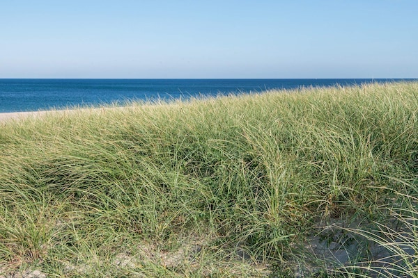 Energiezuinig vakantiehuis voor 12 personen met zwembad, sauna en zee op 50 meter - thumbnail 3