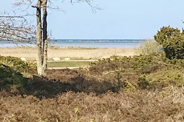 Vrijstaand vakantiehuis met whirlpool en zeezicht op 200m van het strand - thumbnail 4