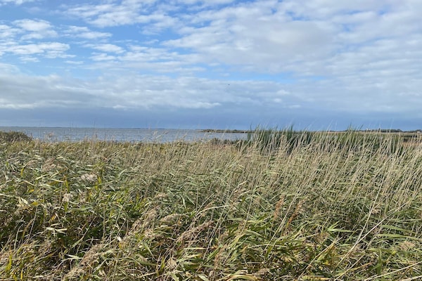 Knus vrijstaand vakantiehuis bij Skjern, 400 meter van Ringkøbing Fjord - thumbnail 2