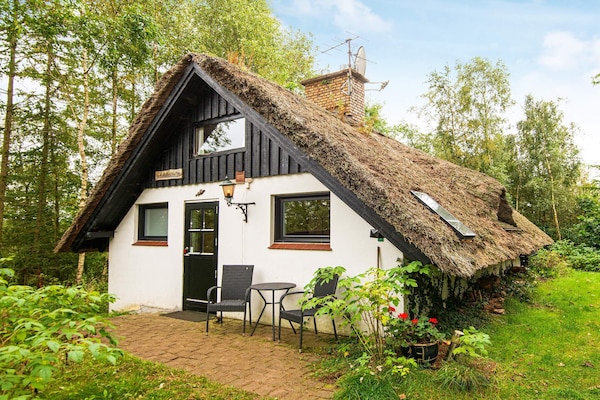 Sfeervol vakantiehuis in Ejstrupholm nabij Rørbæk See - thumbnail 1
