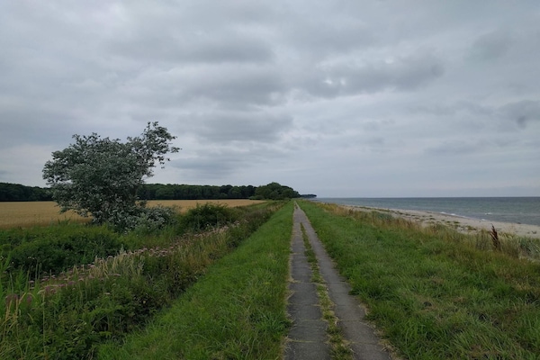 Vrijstaand vakantiehuis direct aan het strand van Hasmark met panoramisch waterzicht - thumbnail 5